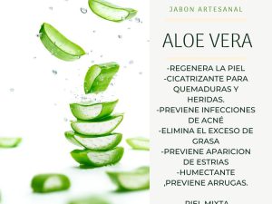 Jabón Artesanal de Aloe Vera