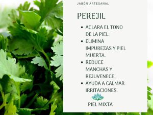 Jabón Artesanal de Perejil